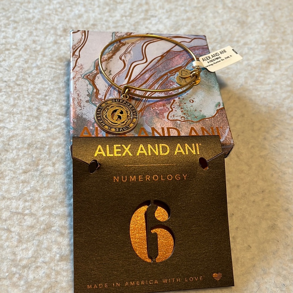 NWT Alex and Ani number 6 bracelet